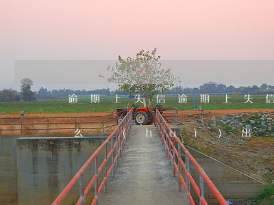 逾期上失信(逾期上失信人逐漸變多。為什么會(huì)出現(xiàn)這種情況?)